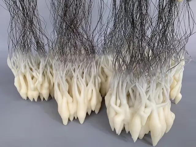 Anima 2024 dimensions variable Anima 2024 dimensions variable