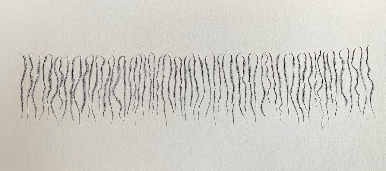 Chinese Whispers; ostrich feather barbs & gesso on paper; 2019 Chinese Whispers; ostrich feather barbs & gesso on paper; 2019