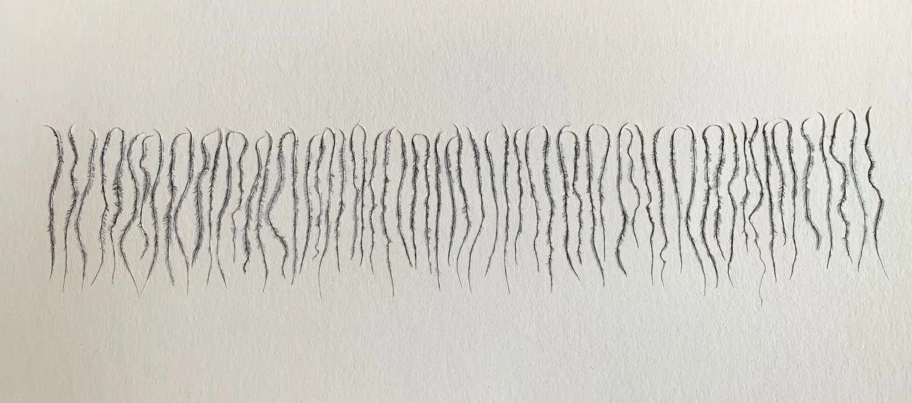 Chinese Whispers; ostrich feather barbs & gesso on paper; 2019 Chinese Whispers; ostrich feather barbs & gesso on paper; 2019