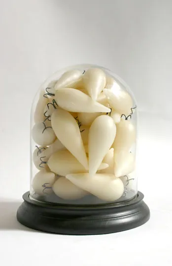 Clutch 2013; wax, fish hooks, glass dome Clutch 2013; wax, fish hooks, glass dome