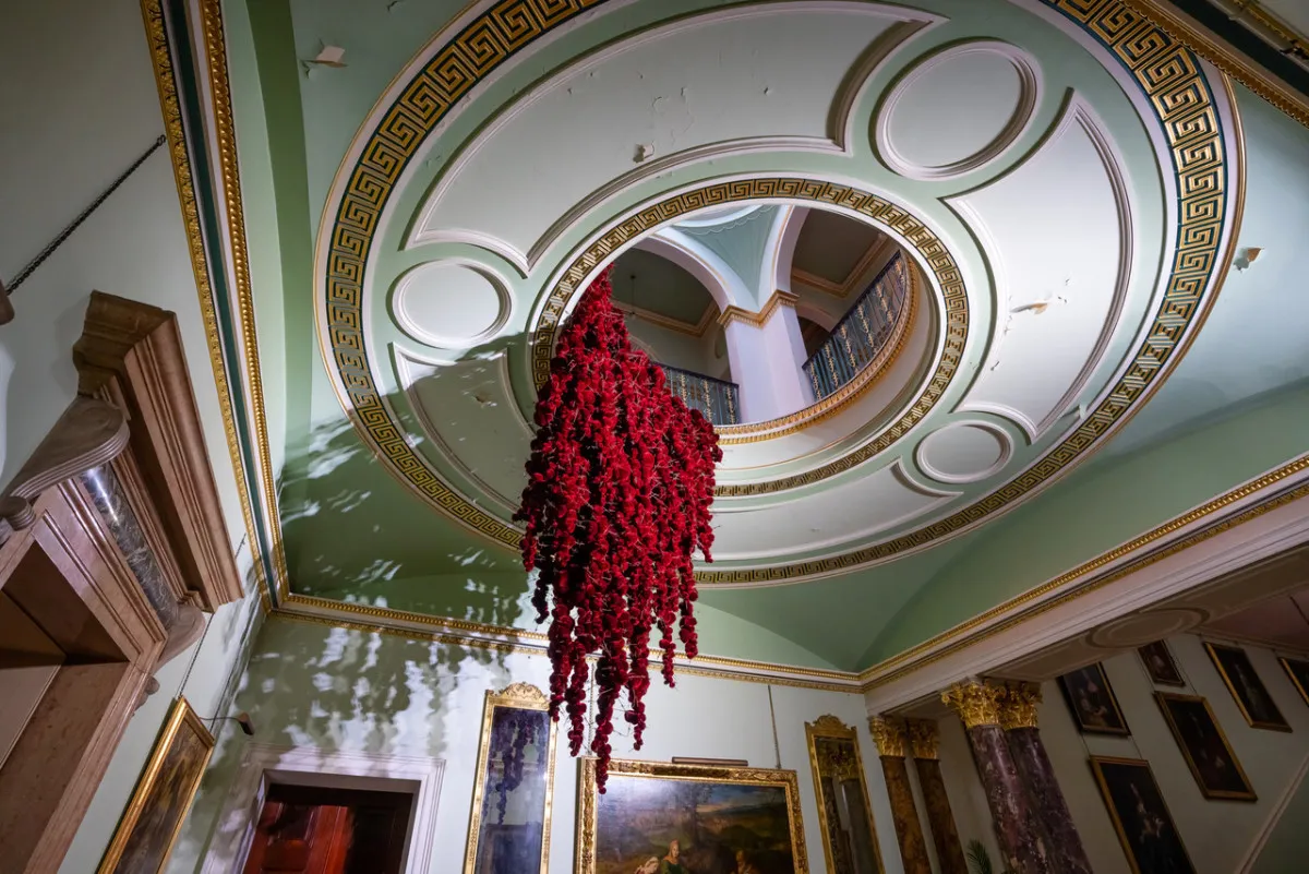 Gathering
site specific installation
Tatton Park Mansion 2019
silk velvet, reclaimed military barbed wire
Susie MacMurray has an uncanny knack of going to the heart of the matter. Her work is somehow immediately evocative, reeling in the viewer to contemplate a sense of place, a feeling of loss, and a desire to touch. Her unusual combinations of materials and subject matter, in site-specific installations, are always intriguing and poetic. They provoke an interaction with the viewer, which draws on both physical and cultural associations.
In 'Gathering,' designed specifically to hang from the circular piercing under the rotunda of the staircase hall at Tatton Park, MacMurray returns to her constant theme of the ephemeral nature of life. To create this installation, she has worked regularly with small groups of volunteers, to hand sew tiny, luxurious, red velvet, ball-like elements, which she has then assembled to cascade in different configurations from the edge of the opening. The overall effect is of an eerie, dripping canopy of red velvet Spanish moss.
The luxury and softness of the deep red silk velvet, is impaled by protruding lengths of barbed wire, used by the MoD to train soldiers going to the Falklands, Kosovo and Afghanistan. The use of a material associated with conflict can be read as alluding to the narrative of cancer as a battle. This bringing together of such diametrically opposed materials lies at the core of MacMurray's approach. She enjoys "the conversations between not always expected combinations of materials, or materials in contexts in which you are not expecting to see them." Such juxtapositions are simultaneously appealing and disturbing. MacMurray works with and through materials, using them as a way of thinking about and expressing more conceptual ideas.
MacMurray is no stranger to loss; her husband died very young and very rapidly of cancer. In 'Gathering,' she examines this experience. The red silk she perceives as sensual, positive, bodily and precious, expressing love and desire and the living of life to the full. Yet the velvet impaled by the barbed wire is strangely beautiful and evocative. "Your life," she explains, "gets pierced by this sudden ordeal." The hospice helps by gathering people in its fold. Indeed many of the volunteers involved in the making of 'Gathering,' have been helped by the Hospice in this enfolding, supportive way, which MacMurray expresses in the gathering together of the red velvet elements.
MacMurray uses all manner of unlikely objects from rubber tubing, to barbed wire, to hair and wax, via a range of textiles and cords, combining them in strange assortments, to make them things of beauty and resonance. Her work is both solid and ethereal. She looks at the ephemeral nature of life. At life and loss, the soft, imperfect, human body that despite its imperfections is so glorious. She entices the visitor into contemplating the fragility of life, but also its joys.
Corrine Julius
June 2019
Susie MacMurray was invited to create this work to both celebrate and highlight the 20th anniversary of the Art Fair, which was established in 1999 to raise funds for the East Cheshire Hospice.
To purchase a piece of Gathering visit <a href='https://www.gatheringattatton.com/store'>gatheringattatton</a>
All funds raised go to East Cheshire Hospice.