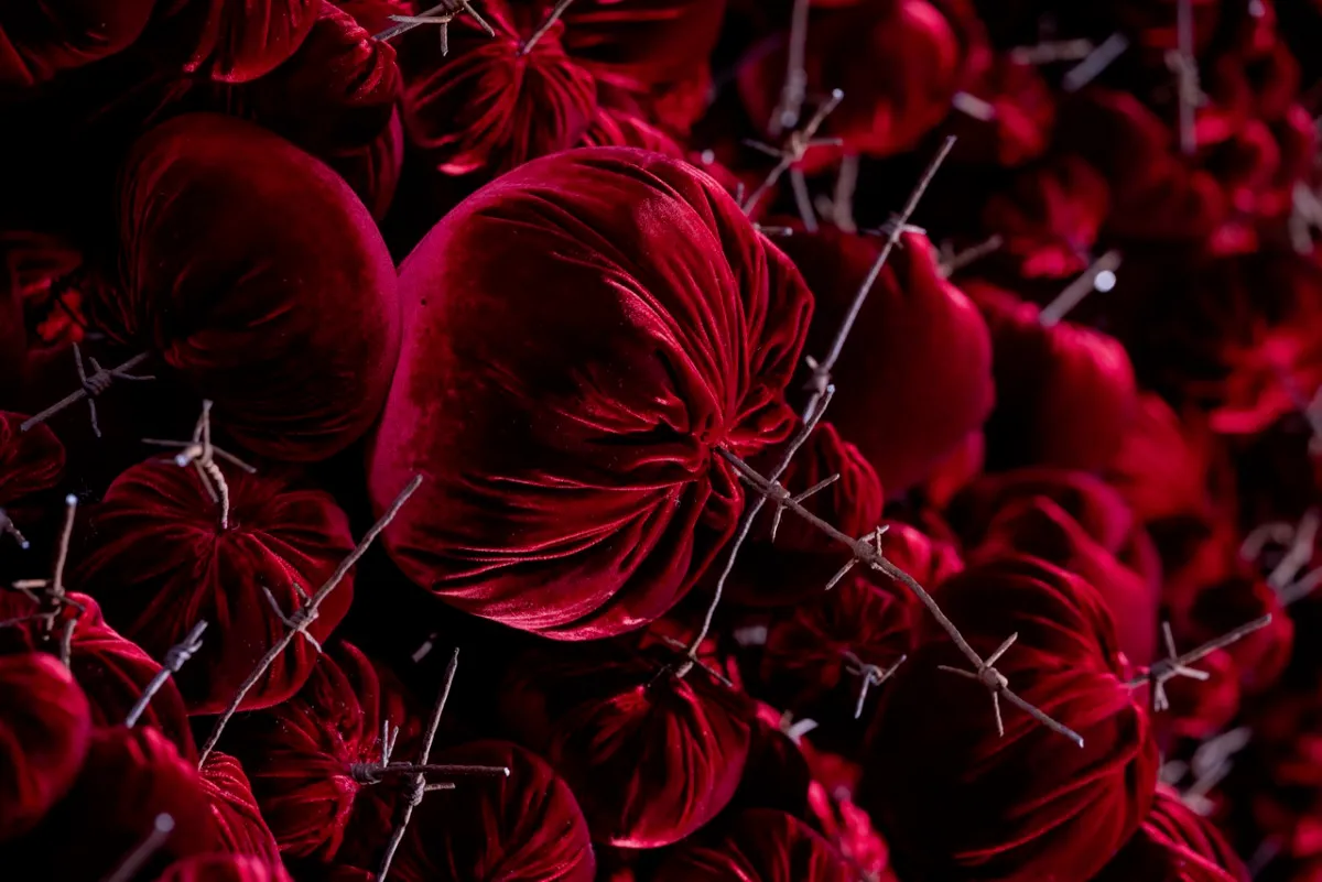 Gathering
site specific installation
Tatton Park Mansion 2019
silk velvet, reclaimed military barbed wire
Susie MacMurray has an uncanny knack of going to the heart of the matter. Her work is somehow immediately evocative, reeling in the viewer to contemplate a sense of place, a feeling of loss, and a desire to touch. Her unusual combinations of materials and subject matter, in site-specific installations, are always intriguing and poetic. They provoke an interaction with the viewer, which draws on both physical and cultural associations.
In 'Gathering,' designed specifically to hang from the circular piercing under the rotunda of the staircase hall at Tatton Park, MacMurray returns to her constant theme of the ephemeral nature of life. To create this installation, she has worked regularly with small groups of volunteers, to hand sew tiny, luxurious, red velvet, ball-like elements, which she has then assembled to cascade in different configurations from the edge of the opening. The overall effect is of an eerie, dripping canopy of red velvet Spanish moss.
The luxury and softness of the deep red silk velvet, is impaled by protruding lengths of barbed wire, used by the MoD to train soldiers going to the Falklands, Kosovo and Afghanistan. The use of a material associated with conflict can be read as alluding to the narrative of cancer as a battle. This bringing together of such diametrically opposed materials lies at the core of MacMurray's approach. She enjoys "the conversations between not always expected combinations of materials, or materials in contexts in which you are not expecting to see them." Such juxtapositions are simultaneously appealing and disturbing. MacMurray works with and through materials, using them as a way of thinking about and expressing more conceptual ideas.
MacMurray is no stranger to loss; her husband died very young and very rapidly of cancer. In 'Gathering,' she examines this experience. The red silk she perceives as sensual, positive, bodily and precious, expressing love and desire and the living of life to the full. Yet the velvet impaled by the barbed wire is strangely beautiful and evocative. "Your life," she explains, "gets pierced by this sudden ordeal." The hospice helps by gathering people in its fold. Indeed many of the volunteers involved in the making of 'Gathering,' have been helped by the Hospice in this enfolding, supportive way, which MacMurray expresses in the gathering together of the red velvet elements.
MacMurray uses all manner of unlikely objects from rubber tubing, to barbed wire, to hair and wax, via a range of textiles and cords, combining them in strange assortments, to make them things of beauty and resonance. Her work is both solid and ethereal. She looks at the ephemeral nature of life. At life and loss, the soft, imperfect, human body that despite its imperfections is so glorious. She entices the visitor into contemplating the fragility of life, but also its joys.
Corrine Julius
June 2019
Susie MacMurray was invited to create this work to both celebrate and highlight the 20th anniversary of the Art Fair, which was established in 1999 to raise funds for the East Cheshire Hospice.
To purchase a piece of Gathering visit <a href='https://www.gatheringattatton.com/store'>gatheringattatton</a>
All funds raised go to East Cheshire Hospice.