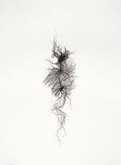 Heavy Gauze Bandage no 2; 2011; pen on paper; 1372cm x 1016cm (private collection) Heavy Gauze Bandage no 2; 2011; pen on paper; 1372cm x 1016cm (private collection)