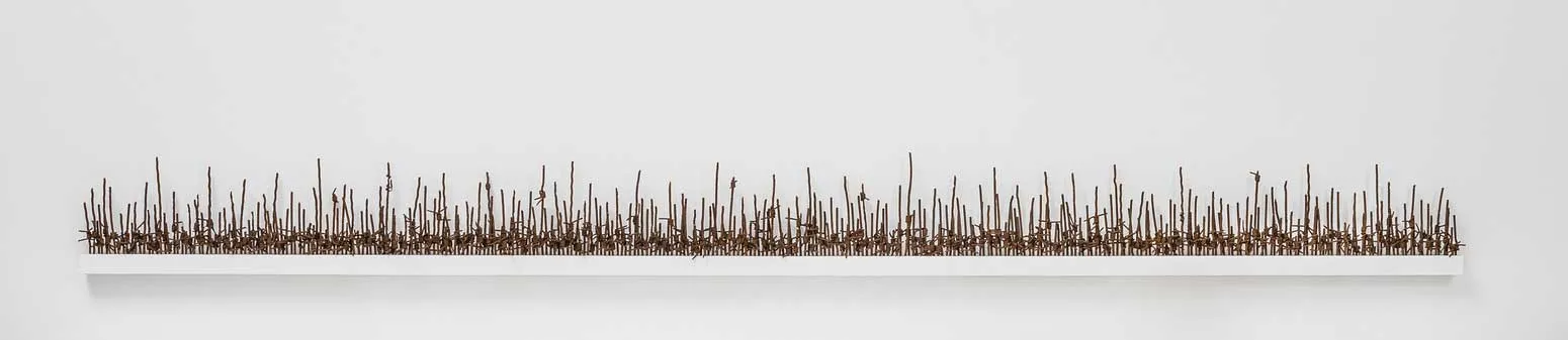 Hold the Line; reclaimed military barbed wire, painted MDF, wall mounted; 2016 Hold the Line; reclaimed military barbed wire, painted MDF, wall mounted; 2016