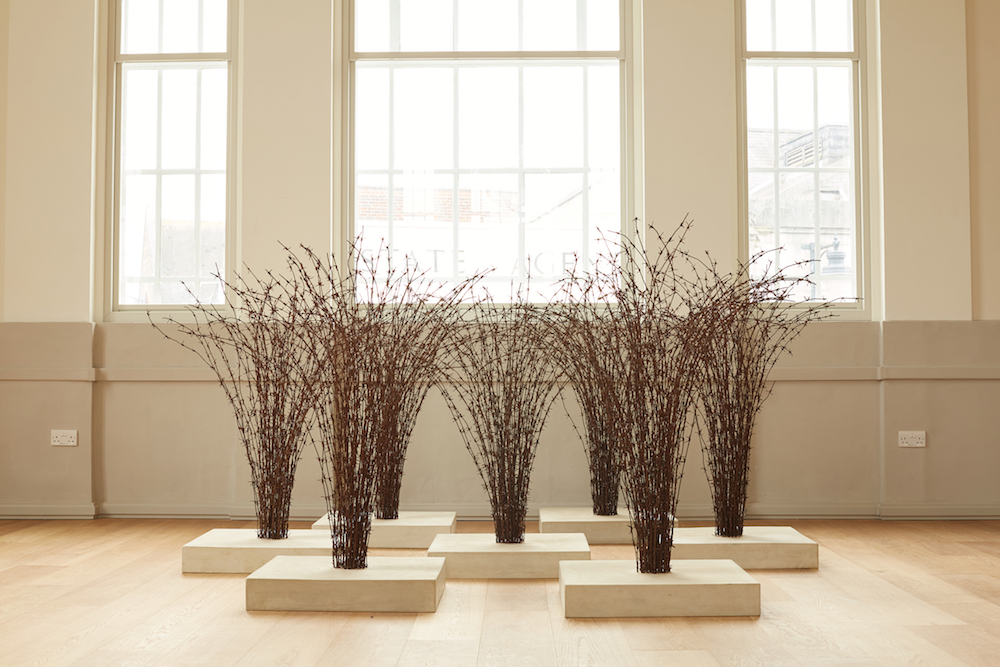 Host; installation view with Medusa; St Albans Museum & Art Gallery 2018 Host; installation view with Medusa; St Albans Museum & Art Gallery 2018