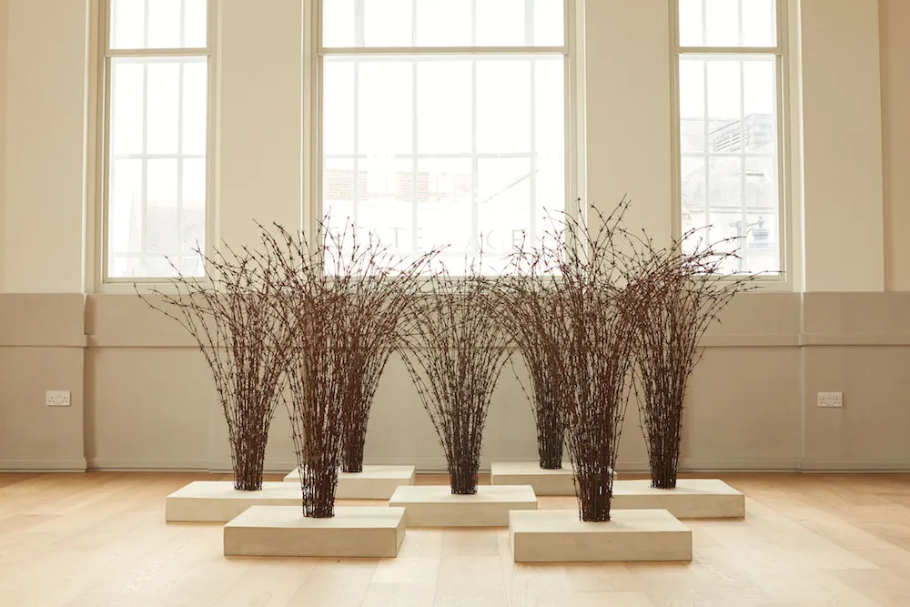 Host; installation view with Medusa; St Albans Museum & Art Gallery 2018 Host; installation view with Medusa; St Albans Museum & Art Gallery 2018