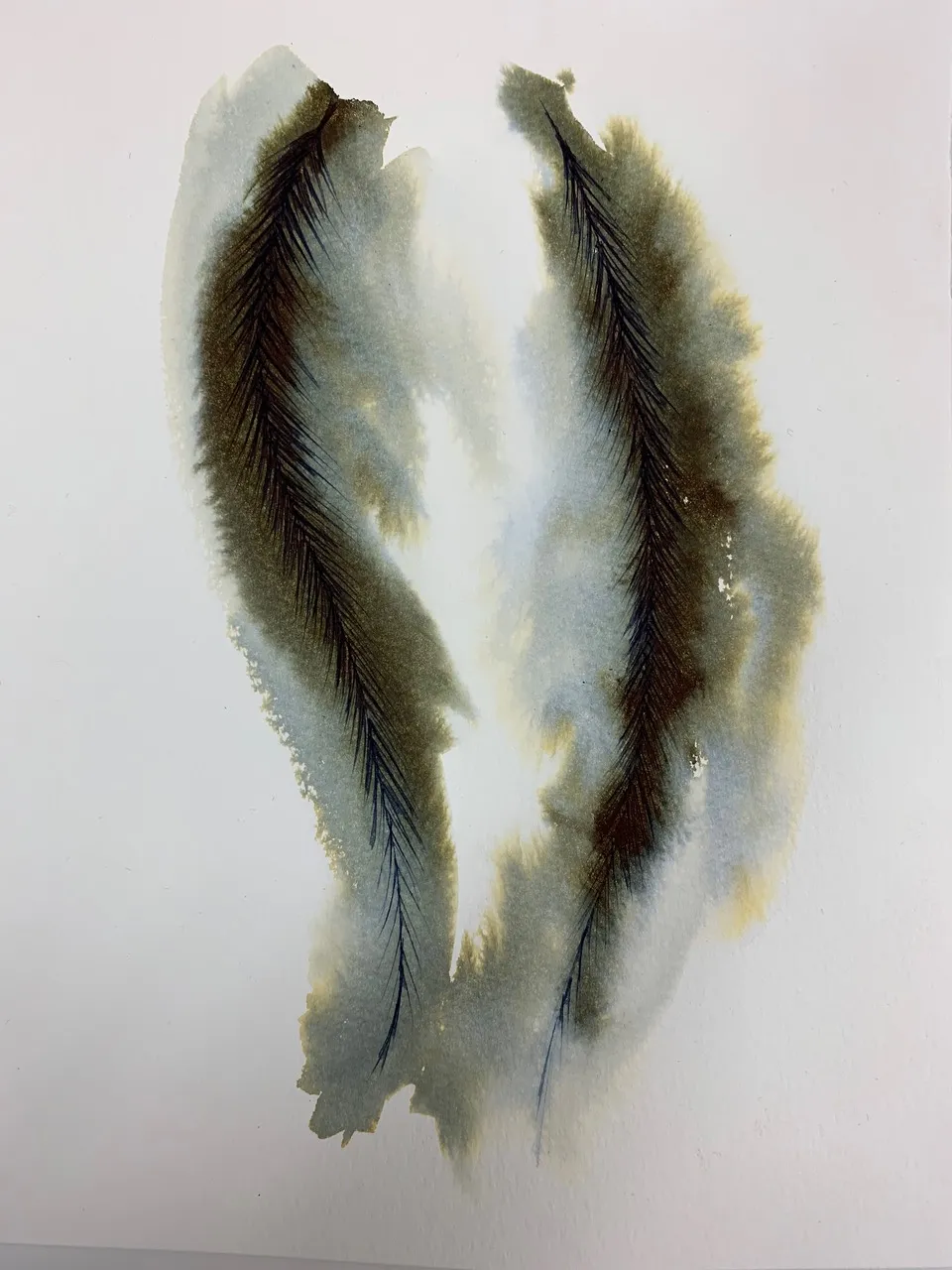 ink & water on paper; ostrich feather barbs; 2019 ink & water on paper; ostrich feather barbs; 2019