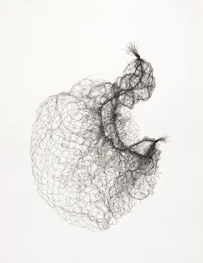 Large Hairnets No 3; 2011; Pen on Paper; 1372cm x 1016cm (private collection) Large Hairnets No 3; 2011; Pen on Paper; 1372cm x 1016cm (private collection)