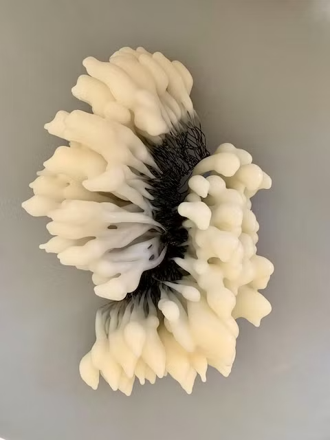 Marchmont series (wall piece) 24cm x 18cm x 12cm Marchmont series (wall piece) 24cm x 18cm x 12cm