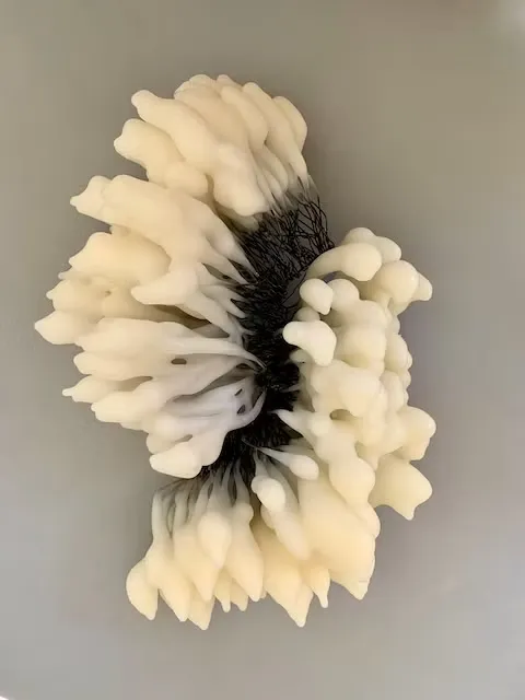 Marchmont series (wall piece) 24cm x 18cm x 12cm Marchmont series (wall piece) 24cm x 18cm x 12cm