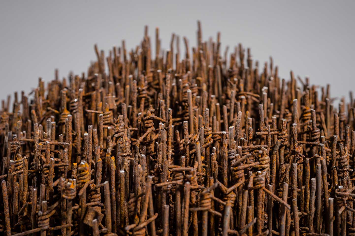 Palisade; reclaimed military barbed wire, composite portland stone; 2016 Palisade; reclaimed military barbed wire, composite portland stone; 2016