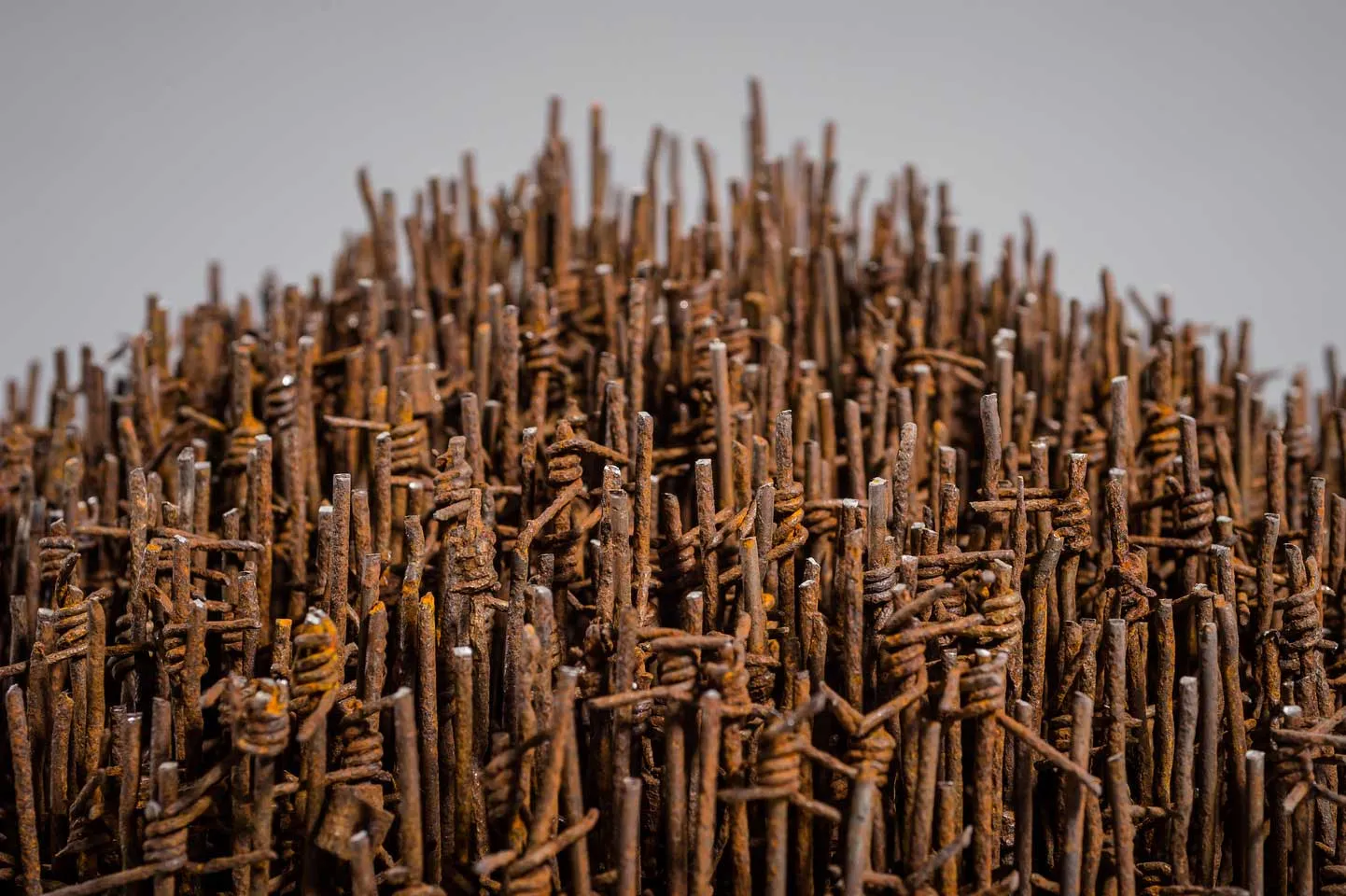 Palisade; reclaimed military barbed wire, composite portland stone; 2016 Palisade; reclaimed military barbed wire, composite portland stone; 2016