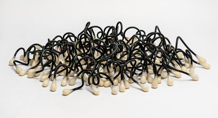 Pods 2013; Dimensions Variable; milking parlour hose, wax, aluminium wire Pods 2013; Dimensions Variable; milking parlour hose, wax, aluminium wire