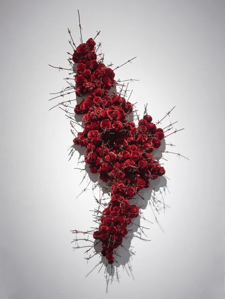 Strange Fruit 2017; 70cm x 140cm x 28cm; reclaimed military barbed wire, silk velvet Strange Fruit 2017; 70cm x 140cm x 28cm; reclaimed military barbed wire, silk velvet