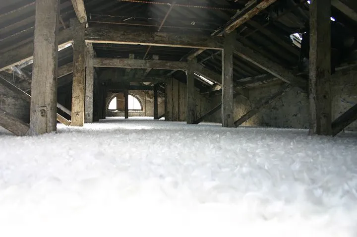 Stratum 2012
Islington Mill, Attic Space
80 Kg Feather Down
Islington Mill, James Street, Salford, M3 5HW
<a href="http://www.islingtonmill.com/">islingtonmill.com</a>