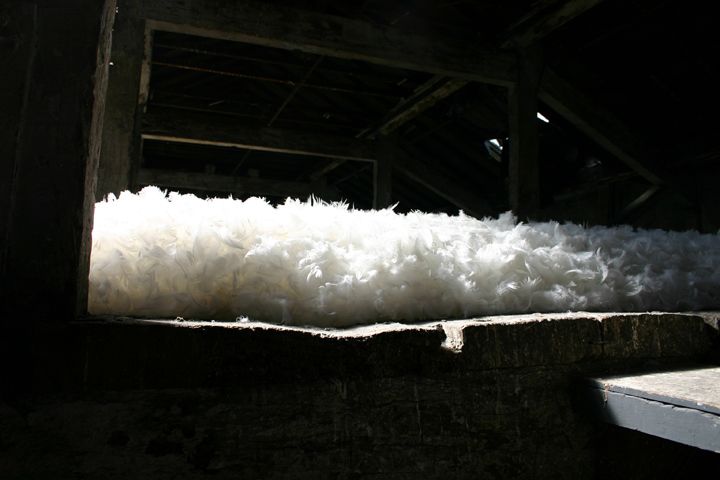 Stratum 2012
Islington Mill, Attic Space
80 Kg Feather Down
Islington Mill, James Street, Salford, M3 5HW
<a href="http://www.islingtonmill.com/">islingtonmill.com</a>