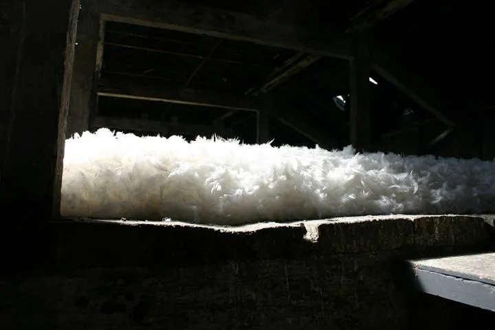 Stratum 2012
Islington Mill, Attic Space
80 Kg Feather Down
Islington Mill, James Street, Salford, M3 5HW
<a href="http://www.islingtonmill.com/">islingtonmill.com</a>