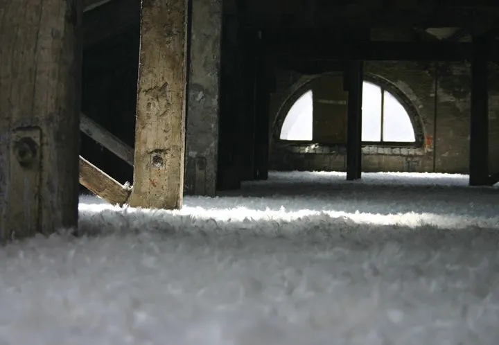 Stratum 2012
Islington Mill, Attic Space
80 Kg Feather Down
Islington Mill, James Street, Salford, M3 5HW
<a href="http://www.islingtonmill.com/">islingtonmill.com</a>