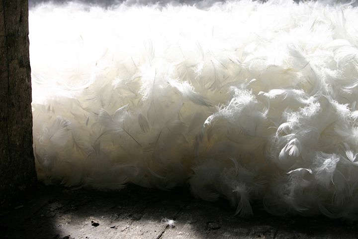 Stratum 2012
Islington Mill, Attic Space
80 Kg Feather Down
Islington Mill, James Street, Salford, M3 5HW
<a href="http://www.islingtonmill.com/">islingtonmill.com</a>