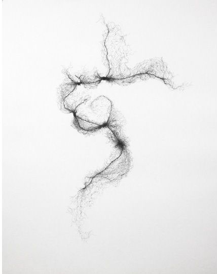 Tied Hairnets No 1; 2014; Pen on Paper; 152cm x 121cm Tied Hairnets No 1; 2014; Pen on Paper; 152cm x 121cm