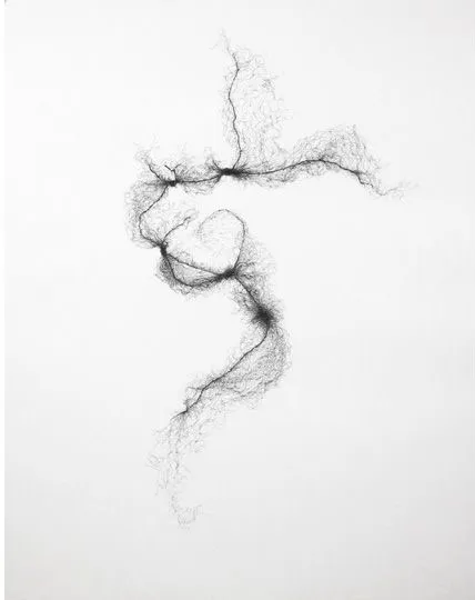 Tied Hairnets No 1; 2014; Pen on Paper; 152cm x 121cm Tied Hairnets No 1; 2014; Pen on Paper; 152cm x 121cm