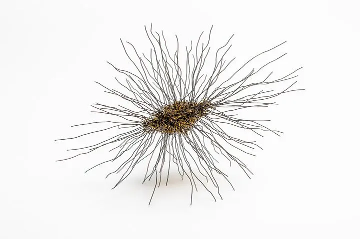 Wise Old Woman 2013; wire, fish hooks (private collection) Wise Old Woman 2013; wire, fish hooks (private collection)